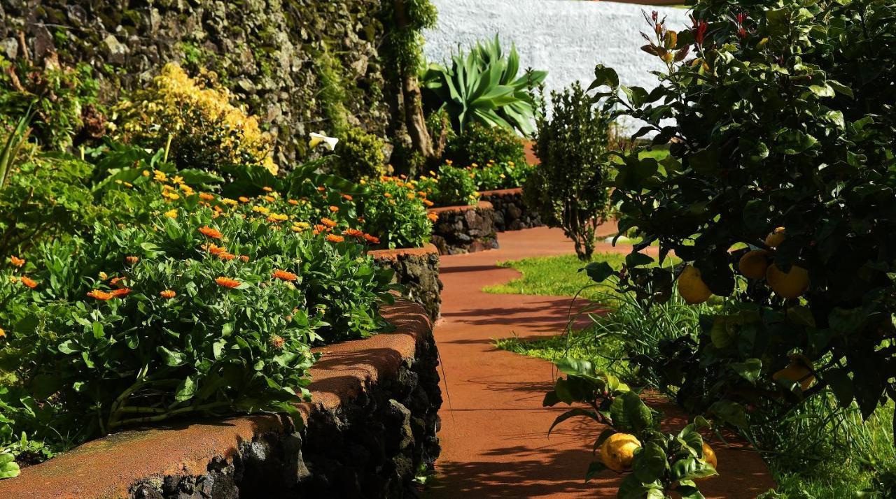 Quinta Dos Sentidos , Rustic Holiday Houses In São Vicente Ferreira Buitenkant foto