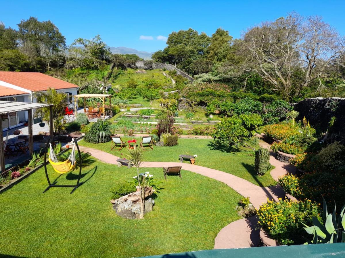 Quinta Dos Sentidos , Rustic Holiday Houses In São Vicente Ferreira Buitenkant foto