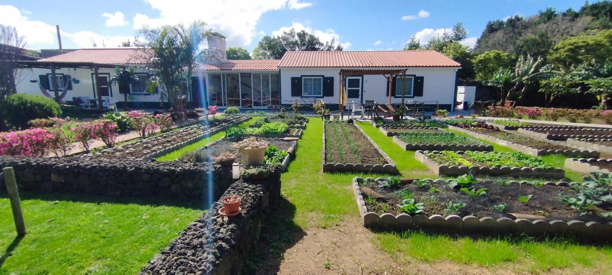 Quinta Dos Sentidos , Rustic Holiday Houses In São Vicente Ferreira Buitenkant foto