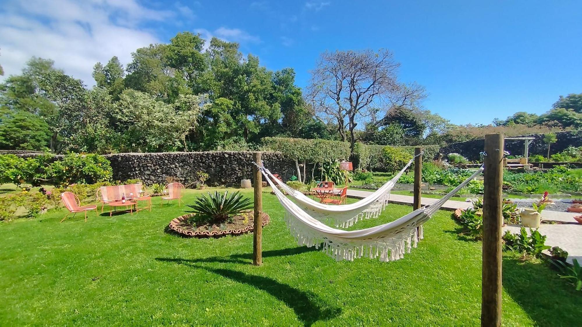 Quinta Dos Sentidos , Rustic Holiday Houses In São Vicente Ferreira Buitenkant foto