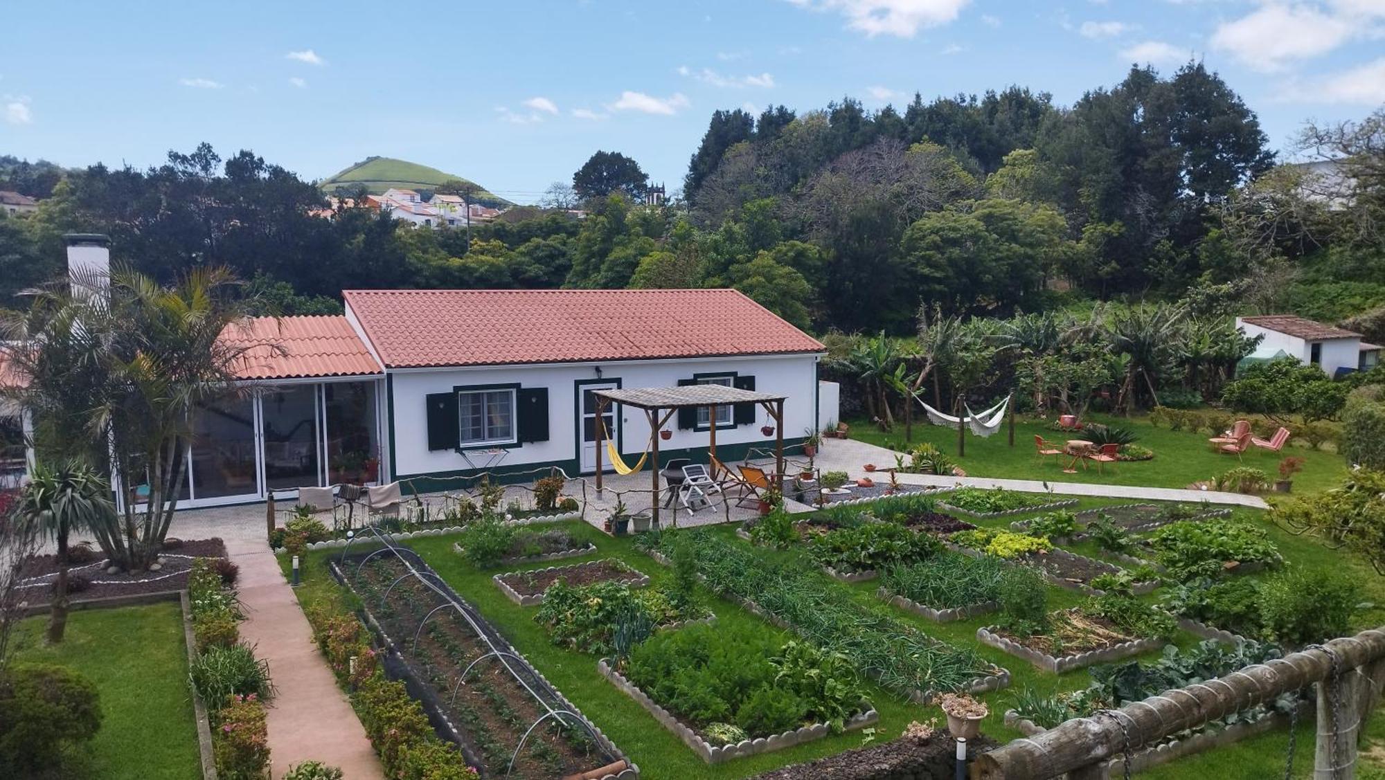 Quinta Dos Sentidos , Rustic Holiday Houses In São Vicente Ferreira Buitenkant foto