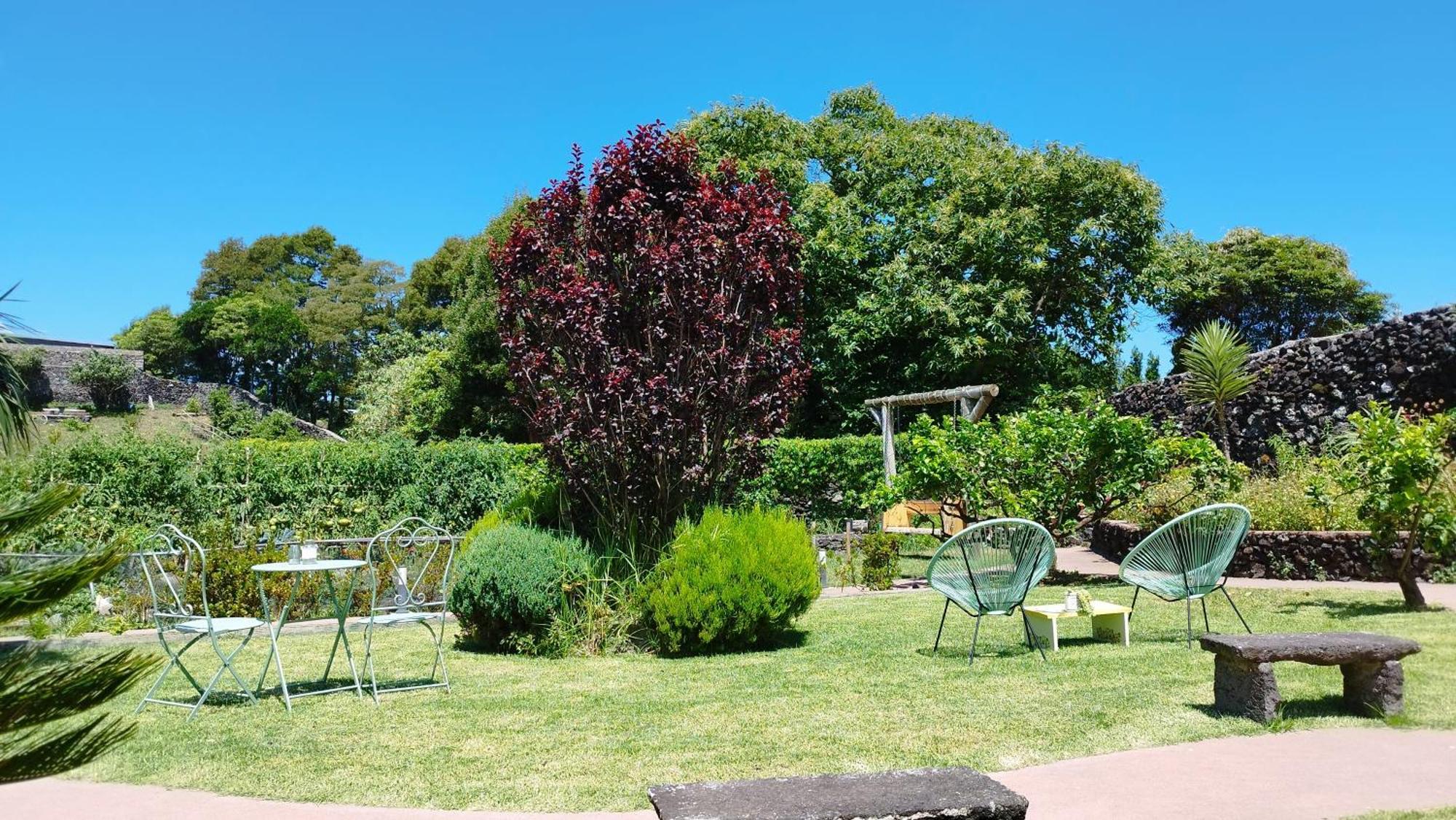 Quinta Dos Sentidos , Rustic Holiday Houses In São Vicente Ferreira Buitenkant foto