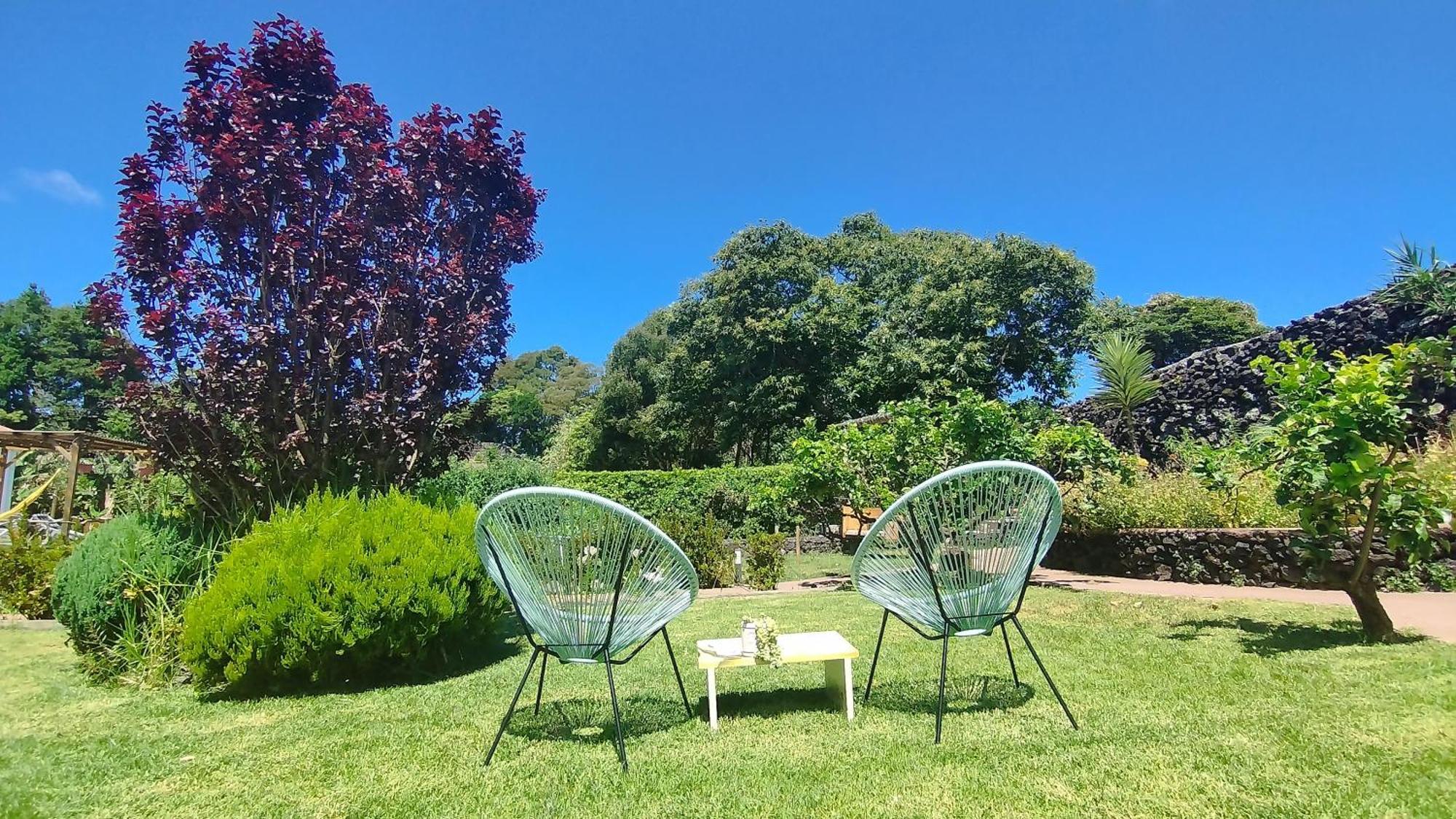 Quinta Dos Sentidos , Rustic Holiday Houses In São Vicente Ferreira Buitenkant foto