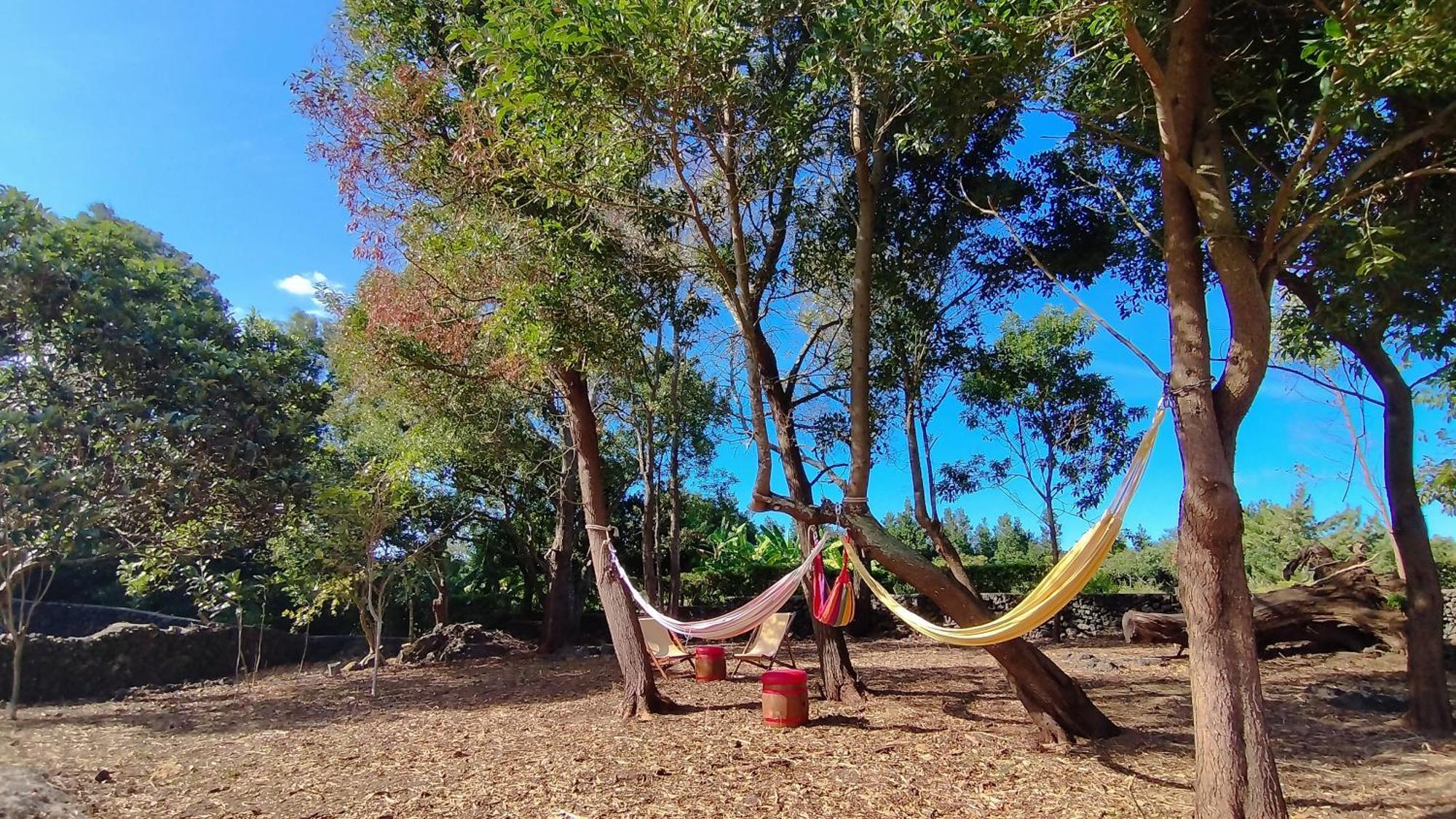 Quinta Dos Sentidos , Rustic Holiday Houses In São Vicente Ferreira Buitenkant foto